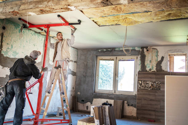 Best Cellulose Insulation  in North Wildwood, NJ